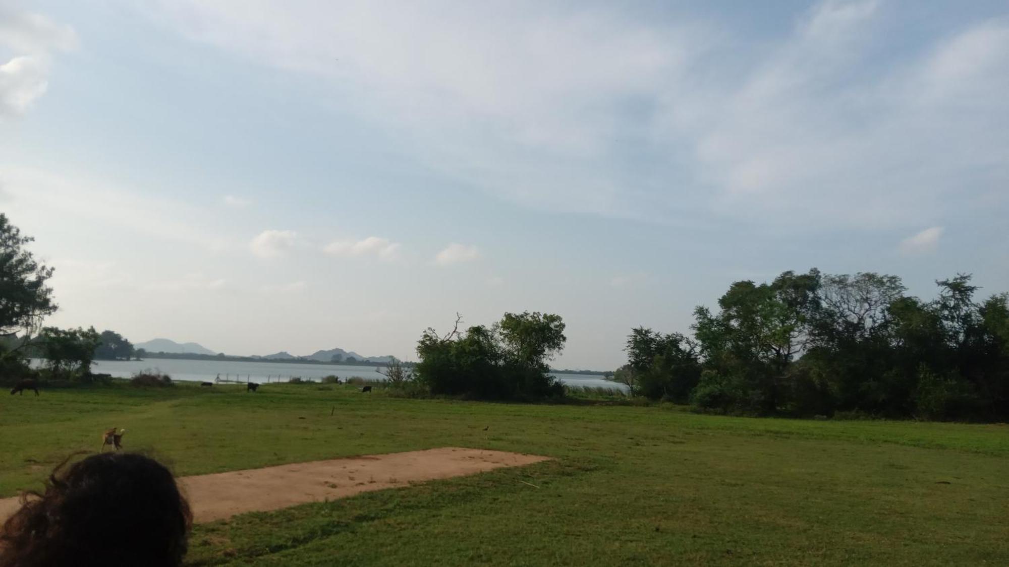 The King'S Garden Resort Dambulla Exteriör bild